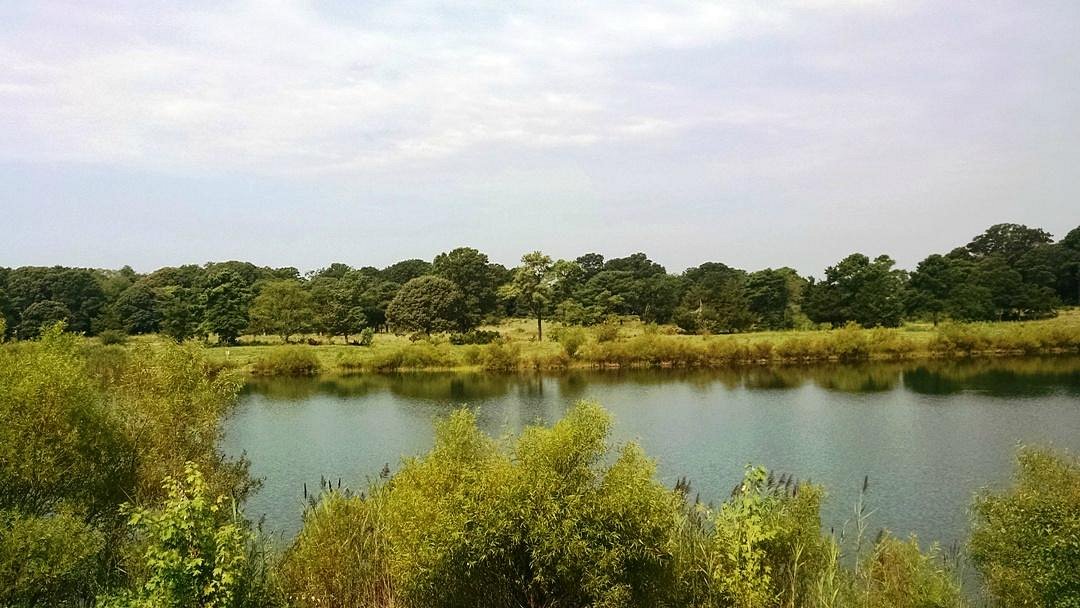 Fishing Creek Wildlife Preserve