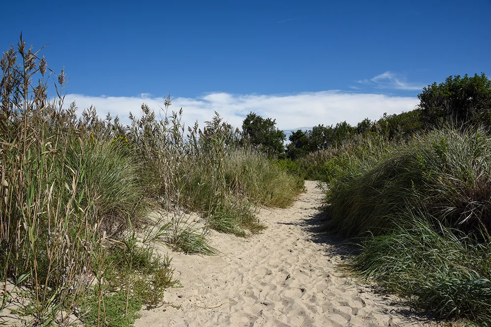 Higbee Beach Wildlife Management Area
