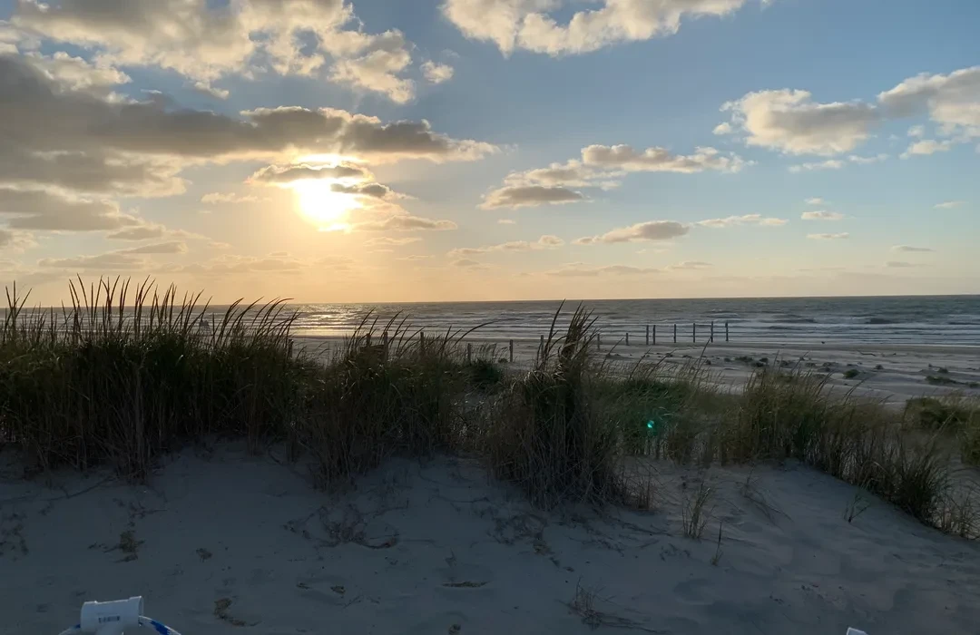 Cape May National Wildlife Refuge